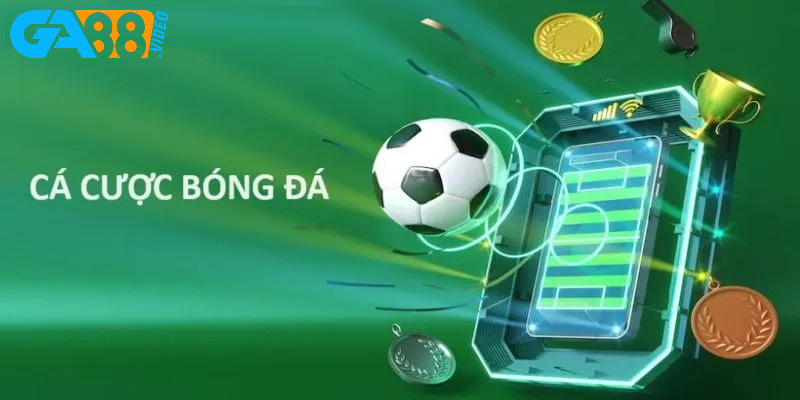 Nhiều môn thể thao hay cuốn hút khác