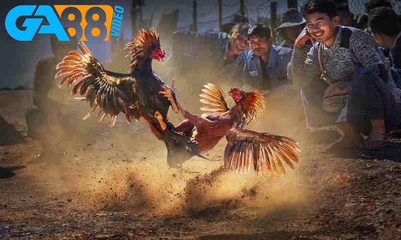 Tìm hiểu kỹ về chiến thuật chơi