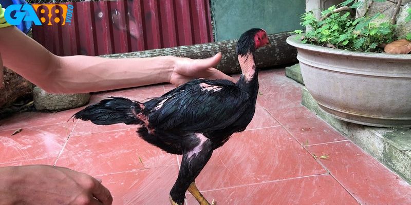 Vận động và phòng bệnh