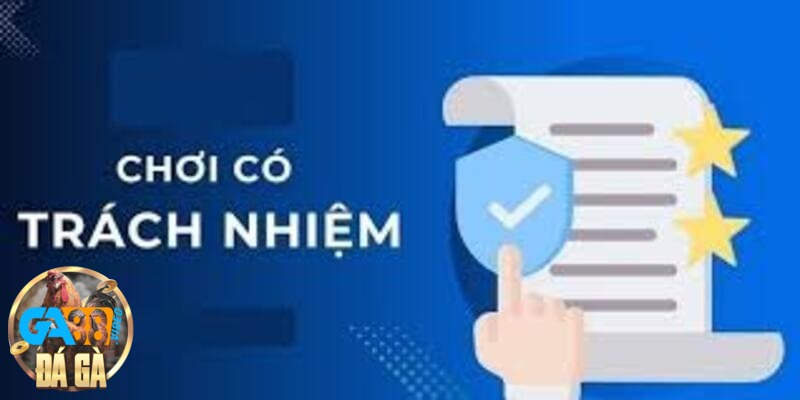 Chấp hành các quy định về bảo mật và an toàn