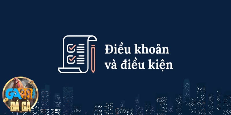 Giới thiệu chung về điều khoản và điều kiện từ hệ thống