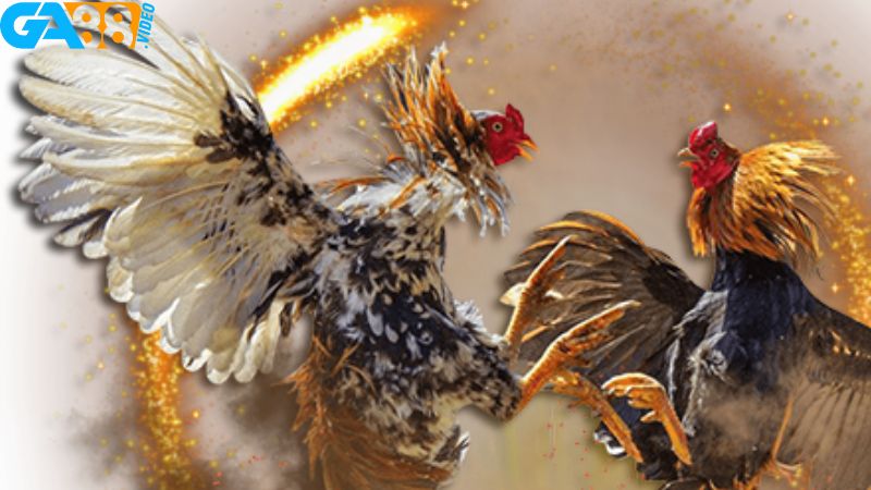 Thế mạnh nổi bật đã làm nên tên tuổi cho nhà cái