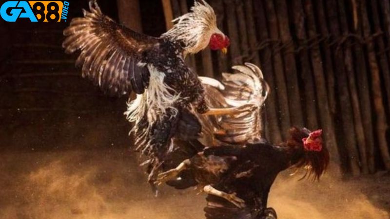 Phương pháp nhận diện đơn vị thiếu chất lượng